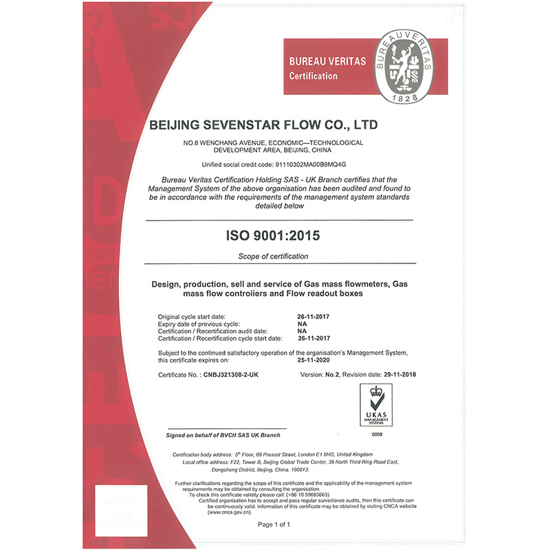 ISO 9001 2015  EN (20201125)